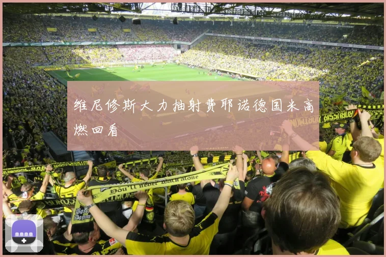 维尼修斯大力抽射费耶诺德国米高燃回看