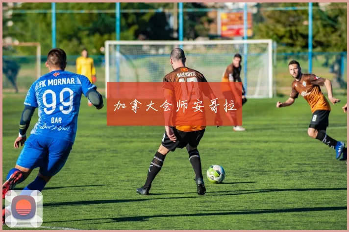 加拿大会师安哥拉