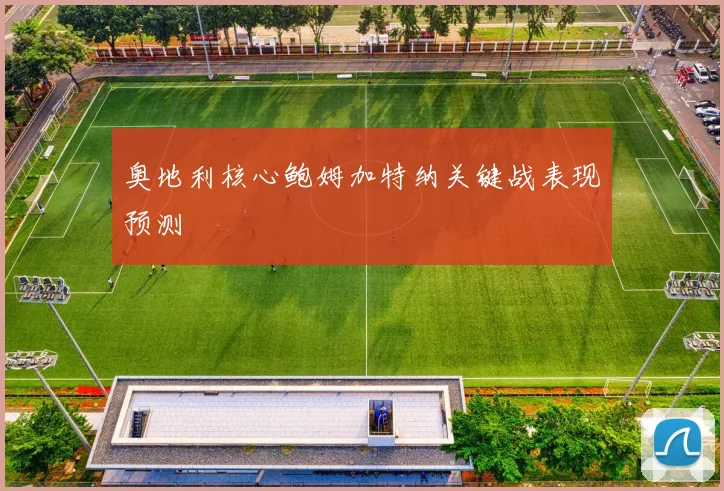 奥地利核心鲍姆加特纳关键战表现预测