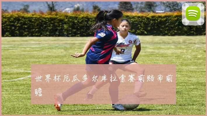 世界杯厄瓜多尔库拉索赛前赔率前瞻