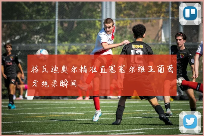 格瓦迪奥尔精准直塞塞尔维亚葡萄牙绝杀瞬间