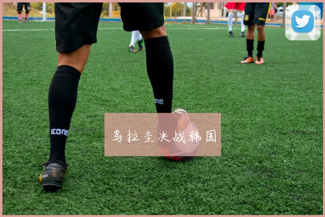 乌拉圭决战韩国