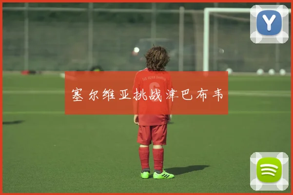 塞尔维亚挑战津巴布韦