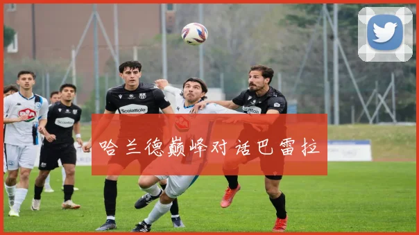 哈兰德巅峰对话巴雷拉
