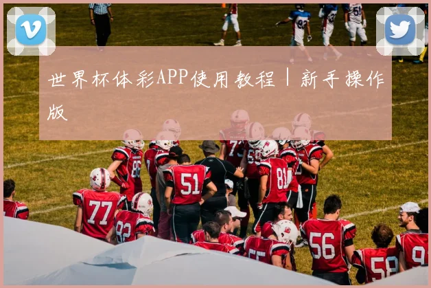 世界杯体彩APP使用教程｜新手操作版