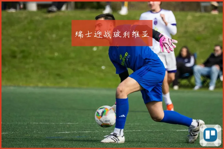 瑞士迎战玻利维亚